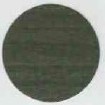 Заглушка самоклеящаяся, цвет Туя темная (1116), эксцентрик, D17 (70 шт/лист) (Туя темная/D17U1116)
