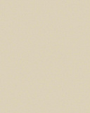 ЛДСП Кроношпан, 2500х1830х16 мм, Бежевый, шагрень (апельсин) (0522/16 PE)
