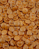 Заглушка для самореза № № 11 Светло коричневый, D14 (1000 шт/уп) (ЗС-светло коричневый)